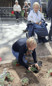 festa de la plantació
