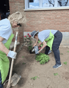 festa de la plantació